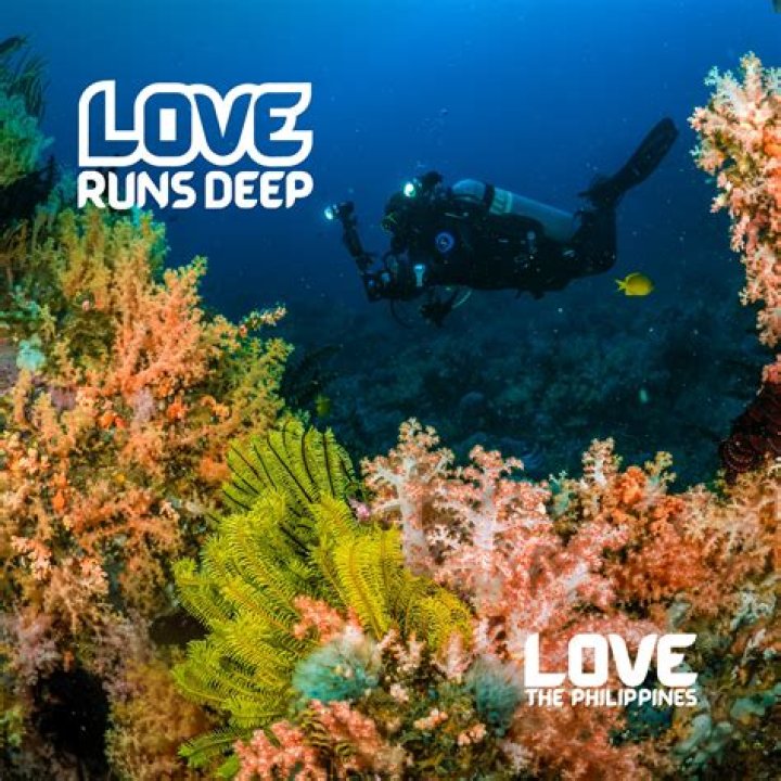 A Deep Dive Into Love, Privacy, And Paparazzi