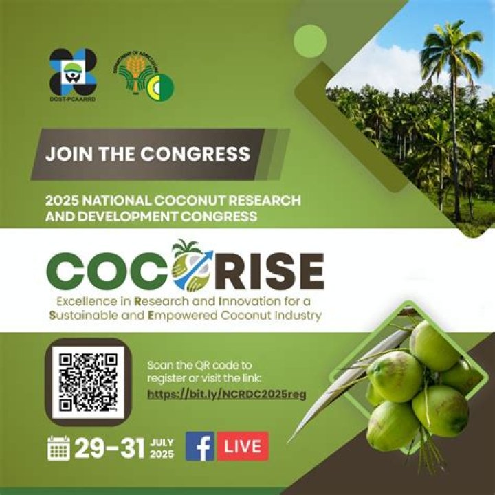 A Journey To Coconut Excellence