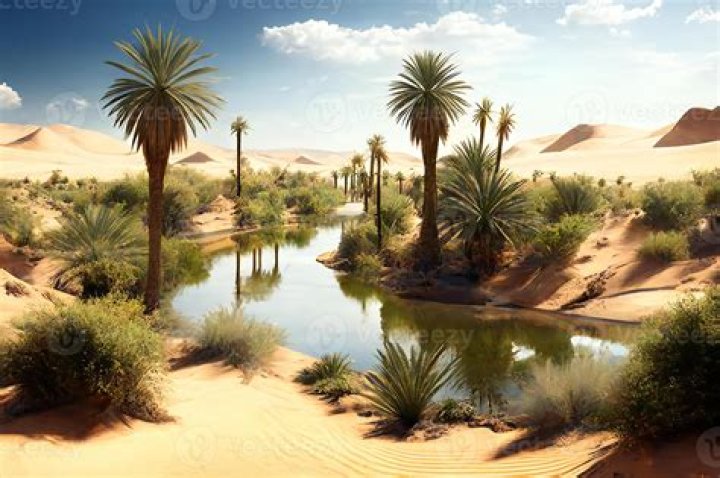 An Oasis Of Exclusivity And Delight