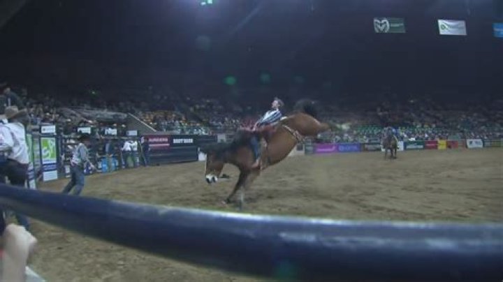 Bronc Rider Killed In Accident