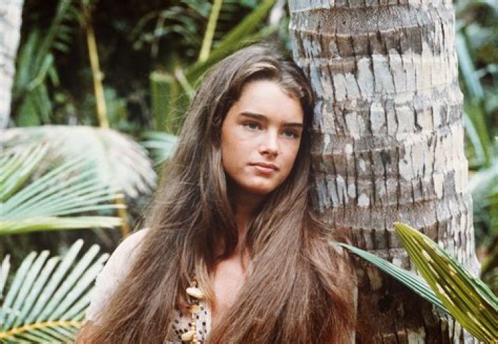 Brooke Shields Nose Job: Unveiling Secrets And Transformations