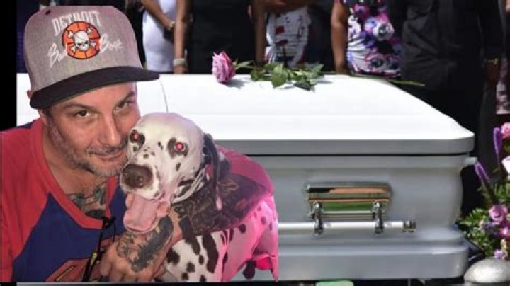 Detroit Lions MI Dan Lippitt Obituary And Death Cause ·