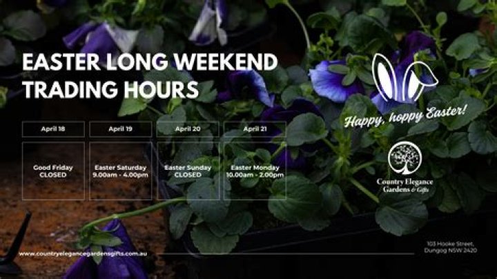 Discover Easter Hours For Rural King Today!