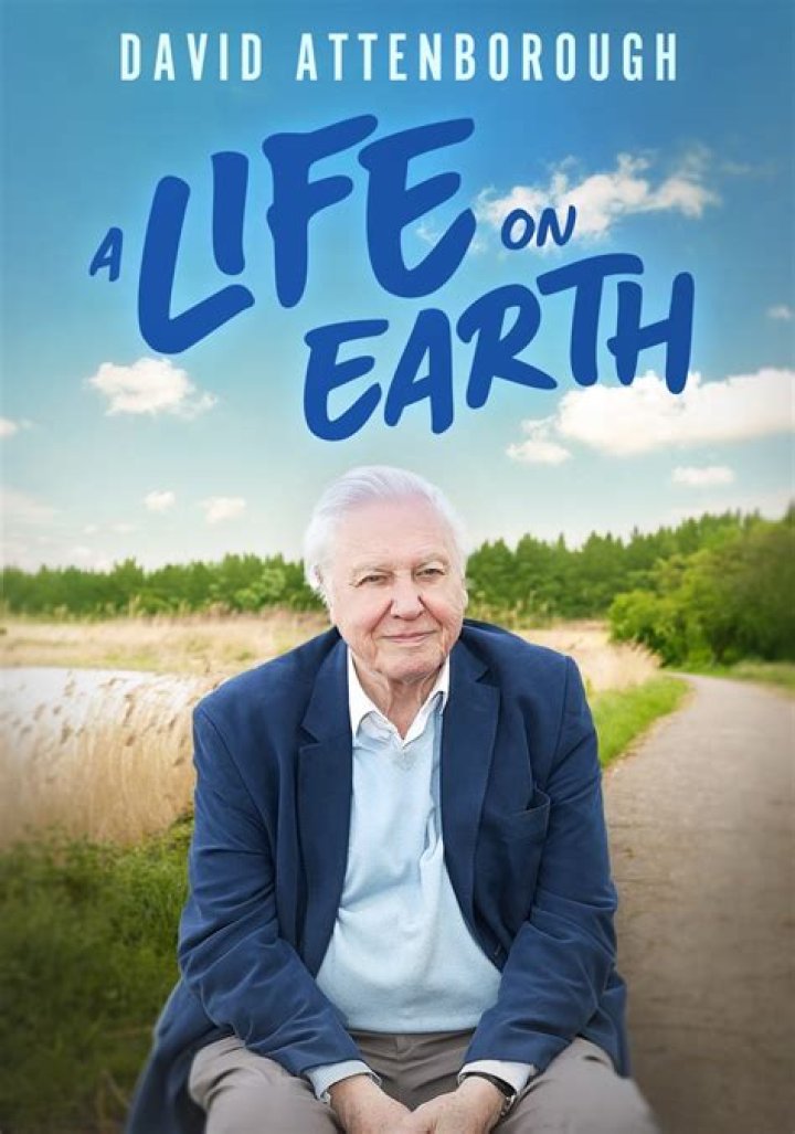 Discoveries And Insights From His Life And Career