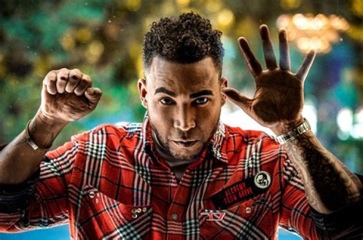 Don Omar Net Worth ·