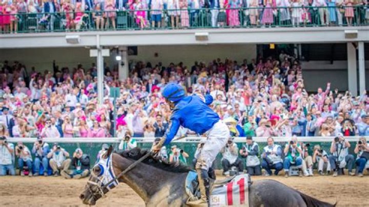 Exploring The Cost Of Kentucky Derby Horses
