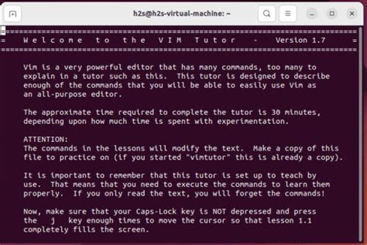 How to run vimtutor in Neovim