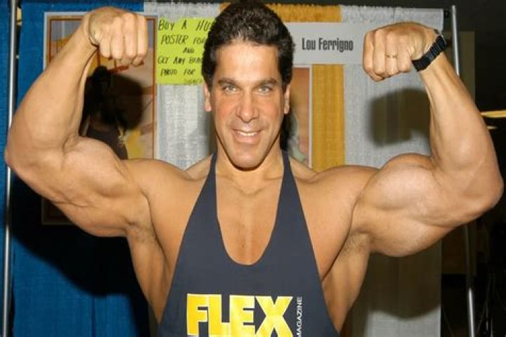 Lou Ferrigno Net Worth ·