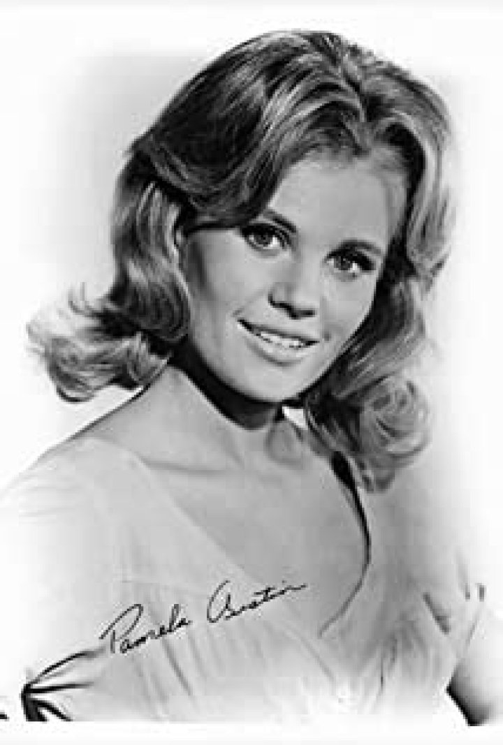 Pamela Austin Net Worth ·