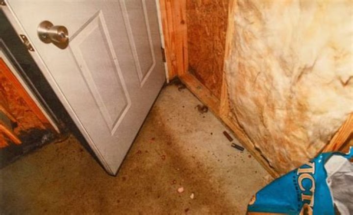 Paul Murdaugh Autopsy And Forensic Report What Happened? Case Details Explored