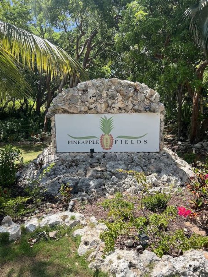 Pineapple Fields Resort Hotel Review, Bahamas Travel