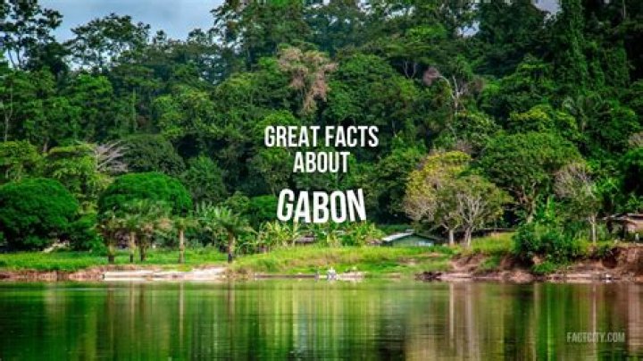 Surprising Facts And Inspiring Insights