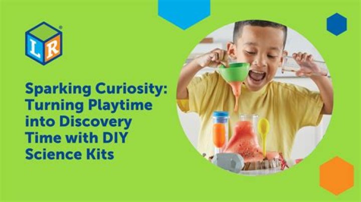 Surprising Insights For Your Curiosity