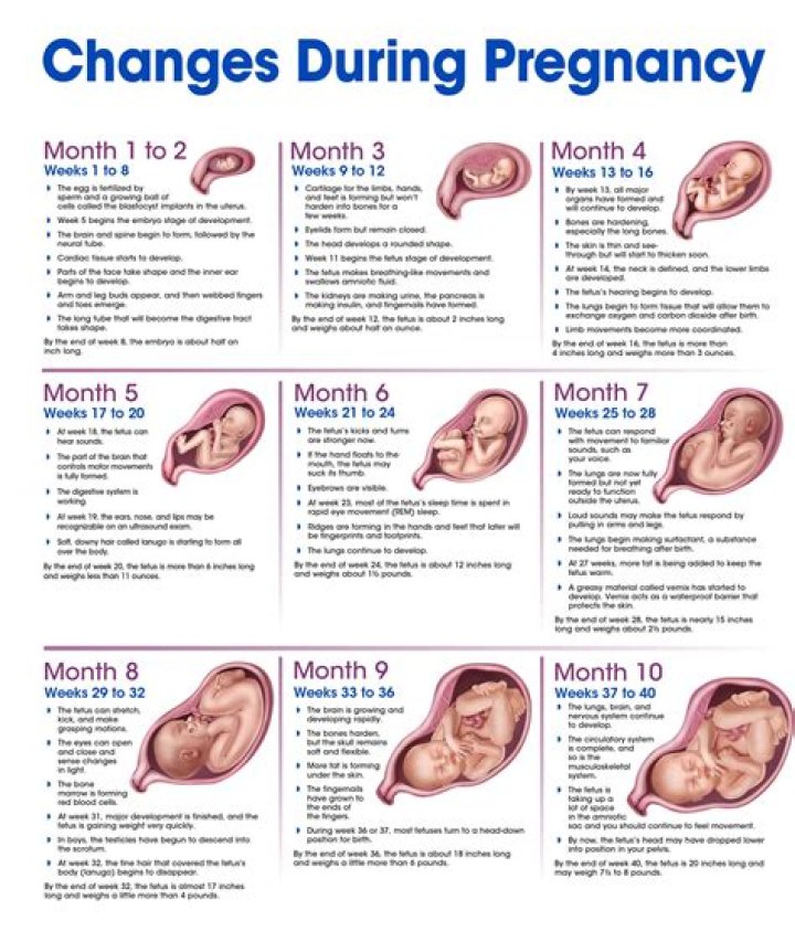 Unveiling Miranda Lambert's Pregnancy Journey: Discoveries And Insights
